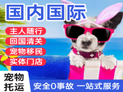 潮汕机场货运国际宠物托运 【国